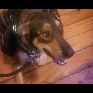 Meet your Posher, Art